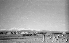 Kwiecień-maj 1942, Dżałał-Abad, Kirgistan, ZSRR.
Namioty na tle ośnieżonych gór.
Fot. inż. Ostrowski, Instytut Polski im. Gen. Sikorskiego w Londynie [album negatywowy A-I ROSJA] - płachta 32