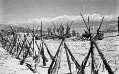 Kwiecień-maj 1942, Dżałał-Abad, Kirgistan, ZSRR.
Karabiny ustawione w kozły, z tyłu siedzą żołnierze piechoty.
Fot. inż. Ostrowski, Instytut Polski im. Gen. Sikorskiego w Londynie [album negatywowy A-I ROSJA] - płachta 33
