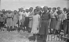 Maj 1942, Wrewskoje, Uzbekistan, ZSRR.
Obóz dla junaków, grupa dziewczynek.
Fot. inż. Ostrowski, Instytut Polski im. Gen. Sikorskiego w Londynie [album negatywowy A-I ROSJA] - płachta 49