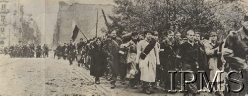 Wrzesień 1944, Warszawa, Generalne Gubernatorstwo.
Bohaterscy obrońcy Warszawy zdążają do niemieckiego obozu jenieckiego, w tle fragmenty zniszczonych bydynków.
Fot. NN, Instytut Polski im. Gen. Sikorskiego w Londynie [szuflada nr 15]