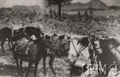 1915, nad Stachodem.
Oddział Legionów nad Stachodem. Po sforsowaniu Wisły, Wieprza i Bugu Legiony rozwinęły front nad Stachodem. Na odcinku 24 km, bataliony 1 i 5 pułku oraz 4 Pułk Piechoty pod dowództwem Bolesława Roji (Roi) torowały drogę, rozpoczynającej się w połowie września pod Smolarami i Hulewiczami ofensywie pod Styrem.
Fot. NN, Instytut Polski im. Gen. Sikorskiego w Londynie [szuflada nr 19, Walki o Niepodległość 1914-1920]