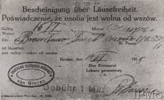 19.06.1918, Grójec, Polska.
Zaświadczenie wydane przez niemieckiego lekarza powiatowego, że osoba nie ma wszy.
Fot. NN, Instytut Polski i Muzeum im. gen. Sikorskiego w Londynie [szuflada nr 20 – Walki o niepodległość]