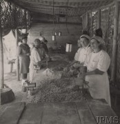 1942, Teheran, Iran (Persja).
Obóz nr 3 dla polskiej ludności cywilnej, która opuściła Związek Radziecki razem z Armią Andersa. Przygotowania do obiadu - kucharki podczas mielenia mięsa.
Fot. NN, Instytut Polski i Muzeum im. gen. Sikorskiego w Londynie [szuflada nr 45 - Polacy na emigracji]
