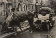 Wrzesień 1939, Warszawa, Polska.
Ulica oblężonej stolicy. Na pierwszym planie koń zaprzężony do samochodu z powodu braku benzyny.
Fot. NN, Instytut Polski i Muzeum im. gen. Sikorskiego w Londynie [szuflada nr 51 – Wrzesień 1939] - na odwrocie nr F.6082