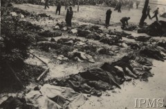 Czerwiec 1941, Lwów (Lemberg).
Więźniowie zamordowani przez NKWD podczas ewakucji więzienia po wybuchu wojny rosyjsko-niemieckiej.
Fot. Associated Press, Instytut Polski i Muzeum im. gen. Sikorskiego w Londynie [szuflada nr 57, Okupacja niemiecka, Dokumenty, Walka Podziemna]