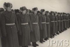 Zima 1941-1942, ZSRR.
Formowanie Armii Polskiej na Wschodzie. Żołnierze w płaszczach i futrzanych czapkach stoją w szeregach.
Fot. NN, Instytut Polski im. Gen. Sikorskiego w Londynie [szuflada nr 59 – Polacy w Rosji. Armia Ludowa. Katyń. Niemieckie terrory]