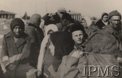 1941-1942, ZSRR.
Grupa polskiej ludności cywilnej przybyła do jednego z obozów formującej się Armii Andersa.
Fot. NN, Instytut Polski im. Gen. Sikorskiego w Londynie [szuflada nr 59 – Polacy w Rosji. Armia Ludowa. Katyń. Niemieckie terrory]