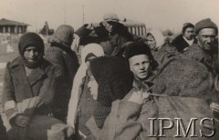 1941-1942, ZSRR.
Grupa polskiej ludności cywilnej przybyła do jednego z obozów formującej się Armii Andersa.
Fot. NN, Instytut Polski im. Gen. Sikorskiego w Londynie [szuflada nr 59 – Polacy w Rosji. Armia Ludowa. Katyń. Niemieckie terrory]