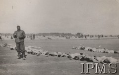 Wrzesień 1939, Polska.
Żołnierz Wehrmachtu stoi obok nagich zwłok leżących w szeregach na ziemi.
Fot. NN, Instytut Polski im. Gen. Sikorskiego w Londynie [szuflada nr 51 – Wrzesień 1939]