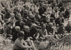 Maj 1942, Wrewskoje, Uzbekistan, ZSRR.
Grupa najmłodszych junaków.
Fot. NN, Instytut Polski im. Gen. Sikorskiego w Londynie [szuflada nr 60 – Rosja. Wojsko Polskie. Wysiedleńcy]

