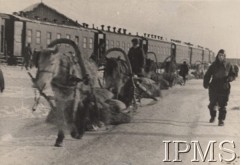 Zima 1941-1942, ZSRR.
Formowanie Armii Polskiej w Związku Radzieckim, sanie na stacji kolejowej, w tle pociąg z wagonami osobowymi.
Fot. NN, Instytut Polski im. Gen. Sikorskiego w Londynie [szuflada nr 60 – Rosja. Wojsko Polskie. Wysiedleńcy]