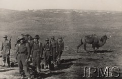 Wiosna 1942, Dżałał-Abad, Kirgistan, ZSRR.
Formowanie Armii Polskiej w Związku Radzieckim, ćwiczenia piechoty, w tle wielbłąd.
Fot. NN, Instytut Polski im. Gen. Sikorskiego w Londynie [szuflada nr 60 – Rosja. Wojsko Polskie. Wysiedleńcy]