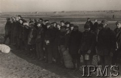 1941, ZSRR.
Formowanie Armii Polskiej w Związku Radzieckim. Więźniowie zwolnieni z łagrów w jednym z polskich obozów.
Fot. NN, Instytut Polski im. Gen. Sikorskiego w Londynie [szuflada nr 60 - Rosja. Wojsko Polskie. Wysiedleńcy]