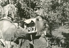 21-26.09.1944, Holandia.
Polskie oddziały spadochronowe. Akcja bojowa pod Arnhem-Driel. Obsługa radiostacji 68.
Fot. NN, Instytut Polski i Muzeum im. gen. Sikorskiego w Londynie