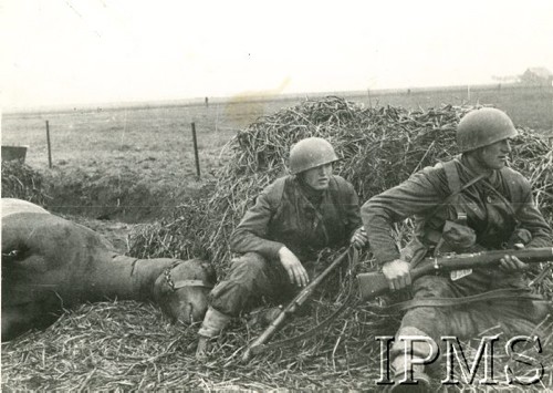 1944-1945, brak miejsca.
I Dywizja Pancerna. Strzelcy 8 Batalionu podczas akcji bojowej, obok leży martwy koń. 
Fot. NN, Instytut Polski i Muzeum im. gen. Sikorskiego w Londynie
