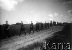 1944, Wileńszczyzna.
Pododział z 1 komp. 5 Bryg. Part. AK w marszu gęsiego polną drogą.
Fot. Sergiusz Sprudin [zbiór zdjęć Janusza Chorążaka nr. 43], zbiory Ośrodka KARTA

