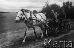 1944, Wileńszczyzna.
Bryczką jadą NN, łączniczka