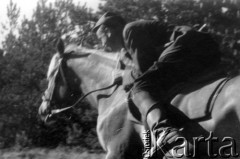 Maj 1944, Wileńszczyzna.
Koncentracja oddziałów Zgrupowania Nr. 2 AK w okolicy wsi Bujki i Barany. Rtm Zygmunt Szendzielarz 