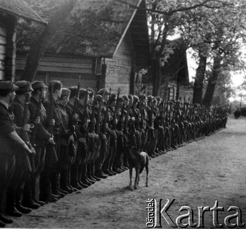 1944, Wileńszczyzna.
Zbiórka 5 Bryg. Part. AK we wsi. Partyzanci prezentują broń stojąc w szeregu.
Fot. Sergiusz Sprudin [zbiór zdjęć Janusza Chorążaka nr. 24], zbiory Ośrodka KARTA

