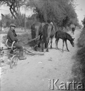 Lata 60. Kraków, Polska.
Okolice Krakowa. Mężczyzna prowadzi wiejską drogą pług zaprzęgnięty w konie.
Fot. Stanisław Gawliński, zbiory Ośrodka KARTA