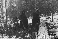 Lata 50., Szyroka Zagatowka?, Krasnojarski Kraj, ZSRR.
Praca w tajdze, z lewej Weronika Boguszewicz Mirowska, wywieziona z pow. oszmiańskiego.
Fot. NN, zbiory Ośrodka Karta, przekazała Danuta Miłobędzka
