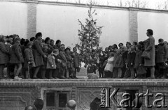 24.12.1942, Teheran, Iran.
Szkoła miejska, gwiazdka.
Fot. Zygmunt Klemensiewicz, zbiory Ośrodka KARTA [sygn. B 109]

