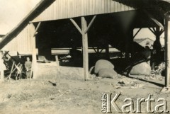 Lata 40., Wanda, Misiones, Argentyna.
Suszarnia yerby.
Fot. NN, zbiory Stowarzyszenia Polsko-Argentyńskiego w Wandzie, reprodukcje cyfrowe w  Bibliotece Polskiej im. Ignacego Domeyki w Buenos Aires (Biblioteca Polaca Ignacio Domeyko) i w Ośrodku KARTA w Warszawie