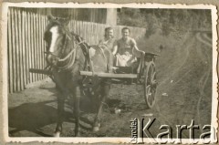 Lata 30., Misiones, Argentyna.
Bryczka. Popularny środek transportu wśród mieszkańców kolonii.
Fot. NN, zbiory Stowarzyszenia Polsko-Argentyńskiego w Wandzie, reprodukcje cyfrowe w  Bibliotece Polskiej im. Ignacego Domeyki w Buenos Aires (Biblioteca Polaca Ignacio Domeyko) i w Ośrodku KARTA w Warszawie