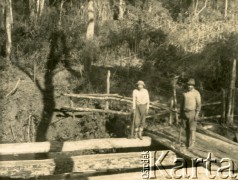 Lata 40., Gobernador Lanusse, Misiones, Argentyna.
Robotnicy Colonizadory del Norte pracujący przy wycince drzew w Selvie.
Fot. NN, zbiory Stowarzyszenia Polsko-Argentyńskiego w Wandzie, udostępniła Maria Jejer, reprodukcje cyfrowe w  Bibliotece Polskiej im. Ignacego Domeyki w Buenos Aires (Biblioteca Polaca Ignacio Domeyko) i w Ośrodku KARTA w Warszawie