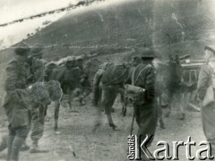 Maj 1944, rejon Monte Cassino, Włochy.
Bitwa pod Monte Cassino. Sanitariusze obok mułów niosących wyposażenie medyczne.
Fot. kpt. lekarz Zbigniew Godlewski, zbiory Instytutu Józefa Piłsudskiego w Londynie
