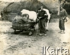 1944, rejon Monte Cassino, Włochy.
Sanitariusze 2 Korpusu Polskiego obok sań, w których siedzą dwie osoby.
Fot. kpt. lekarz Zbigniew Godlewski, zbiory Instytutu Józefa Piłsudskiego w Londynie
