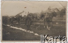 6.12.1914, Marcinkańce, Litwa.
Artyleria Legionów podczas bitwy pod Marcinkańcami - odpoczynek.
Fot. NN, zbiory Instytutu Józefa Piłsudskiego w Londynie