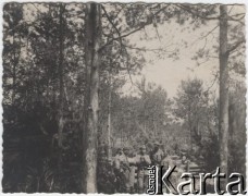 1915-1916, nad Styrem, Wołyń.
Placówka 1 Pułku Piechoty Legionów nad Styrem.
Fot. NN, zbiory Instytutu Józefa Piłsudskiego w Londynie
