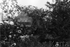 Lata 80., Warszawa, Polska.
Grób pisarza Edwarda Stachury na Cmentarzu Komunalnym Północnym.
Fot. Kacper Mirosław Krajewski, zbiory Ośrodka KARTA
