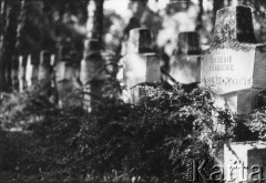 1985, Warszawa, Polska.
Cmentarz Wojskowy na Powązkach. Kwatera wojenna żołnierzy Wojska Polskiego 1939-1945
Fot. Kacper Mirosław Krajewski, zbiory Ośrodka KARTA