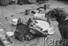 1995, Warszawa, Polska.
Targ staroci na Kole.
Fot. Kacper M. Krajewski, zbiory Ośrodka KARTA