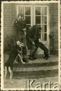Lipiec 1945, Westerland/Sylt, Niemcy.
Polski oficer łącznikowy 174 Baterii 58 Pułku Artylerii Przeciwlotniczej, wchodzącej w skład 11 Dywizji Pancernej Wielkiej Brytanii, przed mesą.
Fot. NN, zbiory Ośrodka KARTA, album Zofii i Czesława Michalskich, przekazał Adam Pyrek