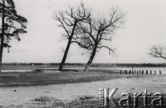 4.04.1940, Warszawa.
Wisła na wysokości Bielan.
Fot. F. Krabicka, zbiory Ośrodka KARTA, udostępniła Agata Bujnowska