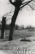 4.04.1940, Warszawa.
Grób żołnierza na Bielanach.
Fot. F. Krabicka, zbiory Ośrodka KARTA, udostępniła Agata Bujnowska