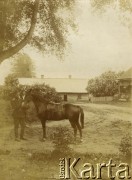 1916, Nowy Dwór, Polska.
I wojna światowa, Władysław Zaleski z koniem.
Fot. NN, zbiory Ośrodka KARTA, udostępniła Barbara Krzystek