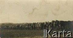 1915-1918, prawdopodobnie Ukraina.
Żołnierze 6 Gospodarczego Czołowego Oddziału Sanitarnego (przemianowanego później na Korpusową Kolumnę Sanitarną) imperialnej armii rosyjskiej. Oddział przeszedł w 1917/1918 roku do II Korpusu Polskiego na Wschodzie.
Fot. NN, zbiory Ośrodka KARTA, przekazała Wanda Ustaszewska-Szamborska