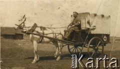 1915-1918, prawdopodobnie Ukraina.
Wojskowa sanitarka konna 6 Gospodarczego Czołowego Oddziału Sanitarnego (przemianowanego później na Korpusową Kolumnę Sanitarną) imperialnej armii rosyjskiej. Oddział przeszedł w 1917/1918 roku do II Korpusu Polskiego na Wschodzie.
Fot. NN, zbiory Ośrodka KARTA, przekazała Wanda Ustaszewska-Szamborska