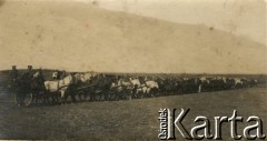 1915-1918, prawdopodobnie Ukraina.
6 Gospodarczy Czołowy Oddział Sanitarny (przemianowany później na Korpusową Kolumnę Sanitarną) imperialnej armii rosyjskiej. Oddział przeszedł w 1917/1918 roku do II Korpusu Polskiego na Wschodzie. 
Fot. NN, zbiory Ośrodka KARTA, przekazała Wanda Ustaszewska-Szamborska
