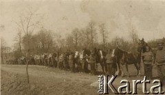 1915-1918, prawdopodobnie Ukraina.
Żołnierze 6 Gospodarczego Czołowego Oddziału Sanitarnego (przemianowanego później na Korpusową Kolumnę Sanitarną) imperialnej armii rosyjskiej. Oddział przeszedł w 1917/1918 roku do II Korpusu Polskiego na Wschodzie.
Fot. NN, zbiory Ośrodka KARTA, przekazała Wanda Ustaszewska-Szamborska