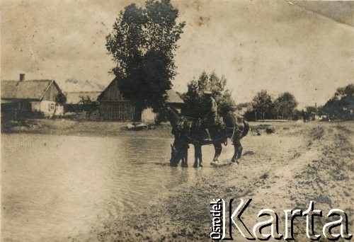 1915-1918, prawdopodobnie Ukraina.
6 Gospodarczy Czołowy Oddział Sanitarny (przemianowany później na Korpusową Kolumnę Sanitarną) imperialnej armii rosyjskiej. Oddział przeszedł w 1917/1918 roku do II Korpusu Polskiego na Wschodzie. Na zdjęciu pojenie koni.
Fot. NN, zbiory Ośrodka KARTA, przekazała Wanda Ustaszewska-Szamborska