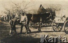 1915-1918, prawdopodobnie Ukraina.
6 Gospodarczy Czołowy Oddział Sanitarny (przemianowany później na Korpusową Kolumnę Sanitarną) imperialnej armii rosyjskiej. Oddział przeszedł w 1917/1918 roku do II Korpusu Polskiego na Wschodzie.
Fot. NN, zbiory Ośrodka KARTA, przekazała Wanda Ustaszewska-Szamborska