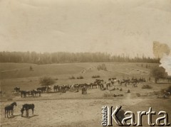 1915-1918, prawdopodobnie Ukraina.
6 Gospodarczy Czołowy Oddział Sanitarny (przemianowany później na Korpusową Kolumnę Sanitarną) imperialnej armii rosyjskiej podczas postoju. Oddział przeszedł w 1917/1918 roku do II Korpusu Polskiego na Wschodzie.
Fot. NN, zbiory Ośrodka KARTA, przekazała Wanda Ustaszewska-Szamborska