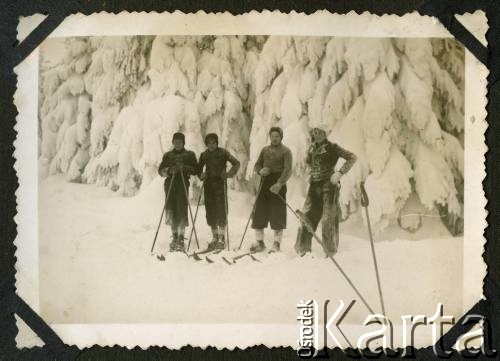 Zima 1940, Beskid Mały, Prowincja Górny Śląsk, III Rzesza Niemiecka.
Witold Staszkiewicz (z prawej) z kolegami podczas jazdy na nartach po Magurce Wilkowickiej.
Fot. Eugeniusz Temlak, kolekcja Witolda Staszkiewicza, zbiory Ośrodka KARTA