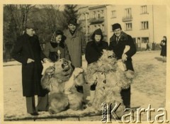 Styczeń 1947, Zakopane, woj. krakowskie, Polska.
Krupówki. Kuracjusze z Sanatorium Polskiego Czerwonego Krzyża, w którym leczono chorych na gruźlicę pozują do zdjęcia z dwiema osobami przebranymi za niedźwiedzie. W środku stoi Witold Staszkiewicz (1923-1950), obok z prawej Grażyna Maciażanka.
Fot. NN, kolekcja Witolda Staszkiewicza, zbiory Ośrodka KARTA