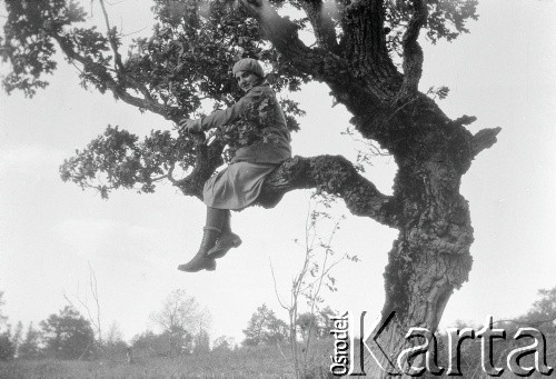 1928, Orów, Polska (obecnie Ukraina).
Henryka Lis-Olszewska siedzi na drzewie.
Fot. NN, kolekcja Witolda Lis-Olszewskiego, zbiory Ośrodka KARTA